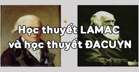 Học thuyết Lamac và học thuyết Đacuyn - THPT Vĩnh Hưng
