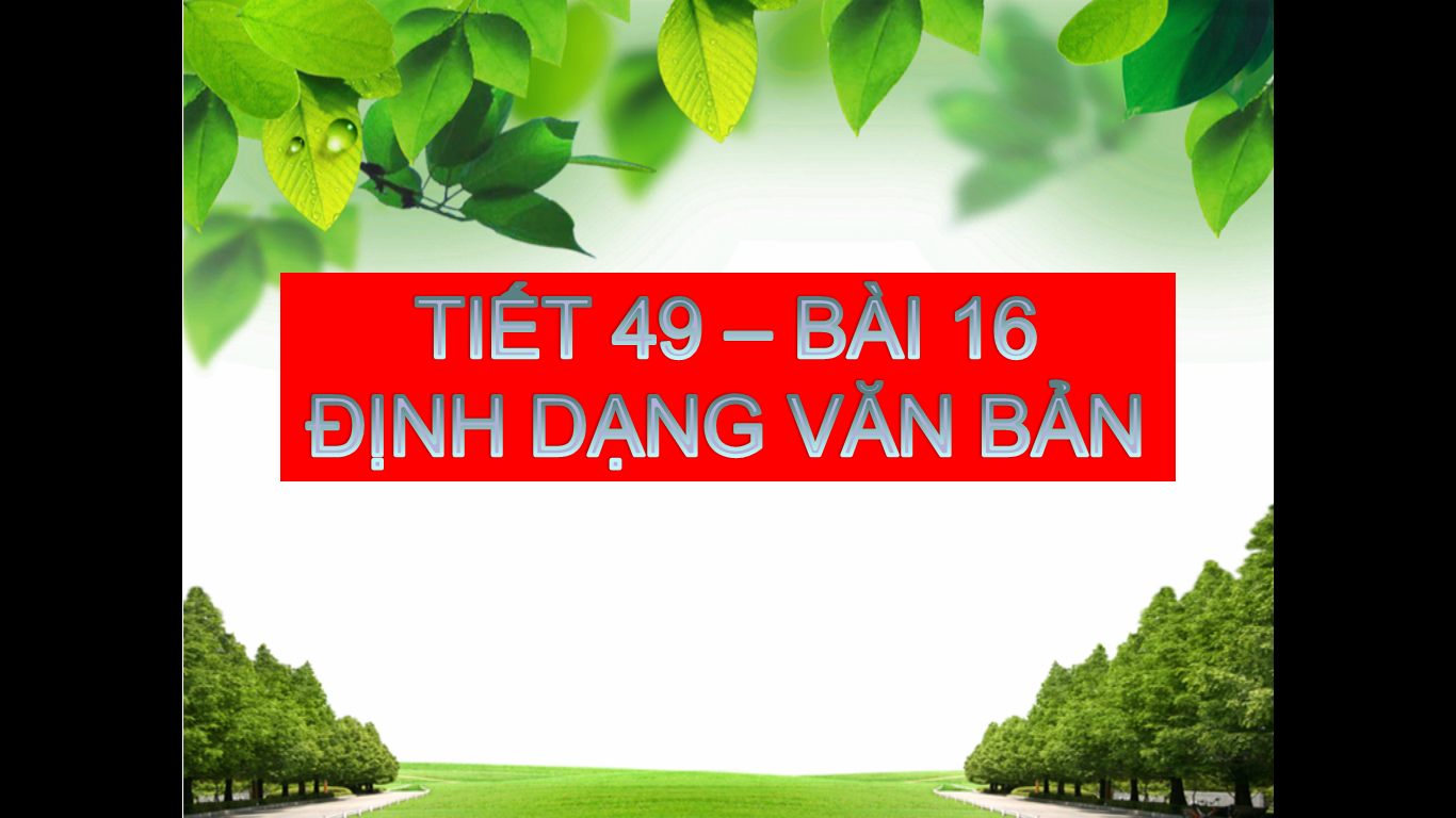 49_THCSThuanBinh_ThanhHoa
