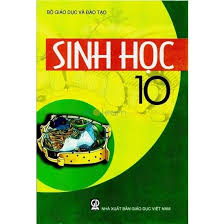 BAI 26- SINH HOC 10-GAEL(DG LAI). 2020-2021