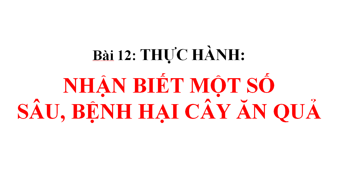 Bài 12: THỰC HÀNH: NHẬN BIẾT MỘT SỐ SÂU, BỆNH HẠI CÂY ĂN QUẢ_TH&THCS Vĩnh Trị_Vĩnh Hưng