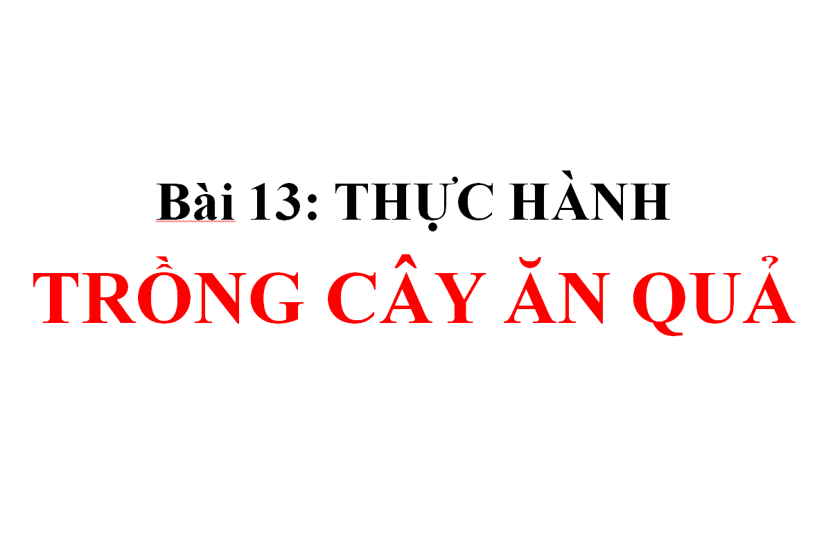 Bài 13: THỰC HÀNH TRỒNG CÂY ĂN QUẢ_TH&THCS Vĩnh Trị_Vĩnh Hưng