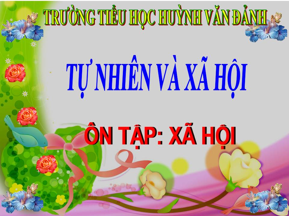 Ôn tập: Xã hội - TH Huỳnh Văn Đảnh - Tân Trụ