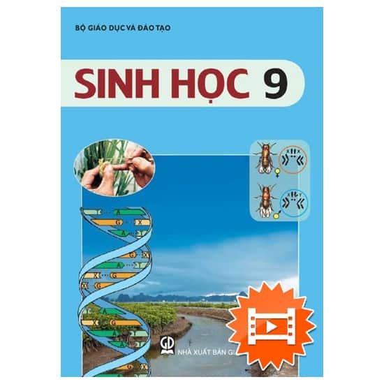 SH9-ANH HUONG CUA AS LEN DS SV-C2TV-CT