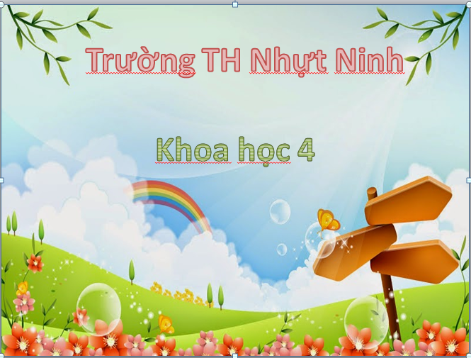 KH4- Cac nguon nhiet- TH Nhut Ninh- Tan Tru