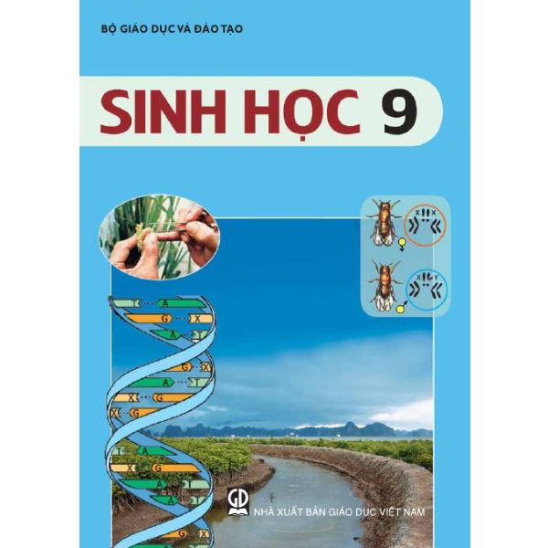 Bài Ảnh hưởng lẫn nhau giữa các sinh vật- sinh học 9- THCS Tân Phước Tây - Tân Trụ