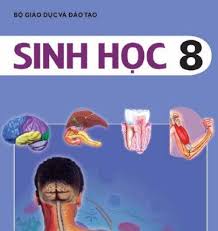 Bài 42  VỆ SINH DA - THCS LONG TRACH - CAN DUOC