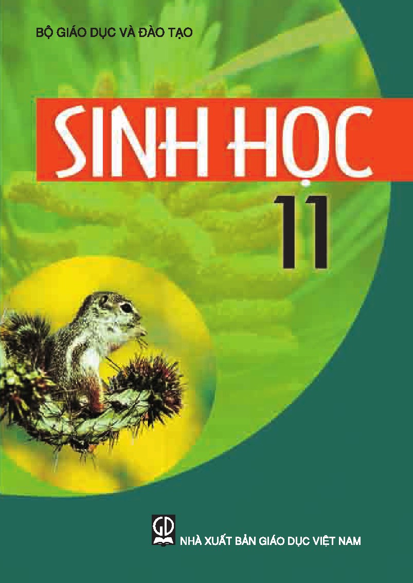 BAI 4 SINH11 - LONG CANG
