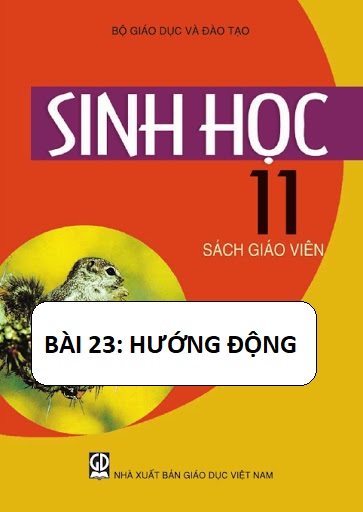 Sinh học 11_Bài 23 Hướng động_THPT Nguyễn Hữu Thọ