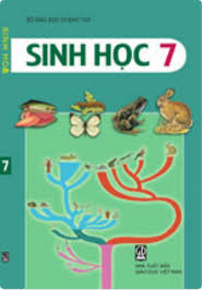 Sinh học 7-Tuần 24-Tiết 48-Bài 44. Đa dạng và đặc điểm chung của lớp chim-THCS NGUYỄN AN NINH _CẦN GIUỘC