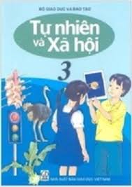 Bài Rễ Cây- Tuần 22- lớp 3