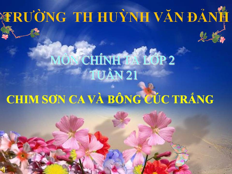 Chim son ca va bong cuc trang - TH Huynh Van Danh - Huyen Tan Tru