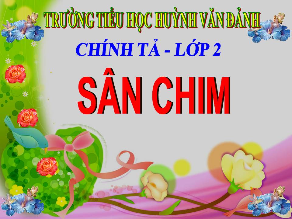 San chim- TH Huynh Van Danh - Huyen Tan Tru