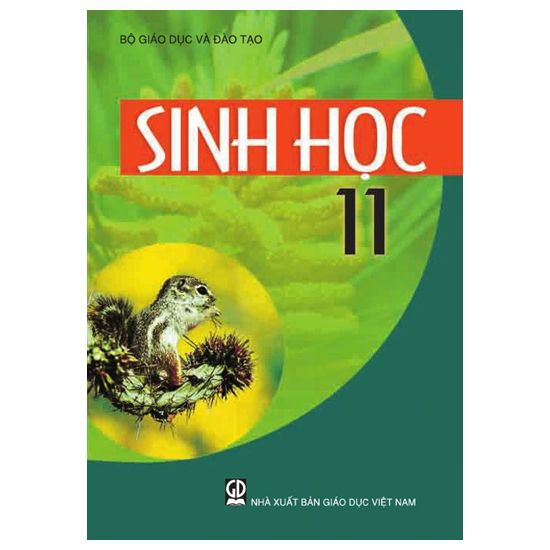 tiết 23 On tap chuong I- sinh 11_THPT DONG THANH_CAN GIUOC