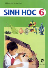 Sinh học 6_THCS Thuận Thành_Bài 35_Những điều kiện cho hạt nảy mầm